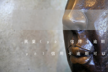 興業(yè)信用卡逾期可以分期嗎(興業(yè)信用卡逾期可以分期嗎)