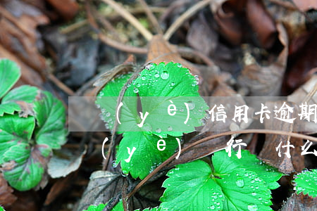 興業(yè)信用卡逾期可以協商分期嗎(興業(yè)銀行為什么不同意協商分期)