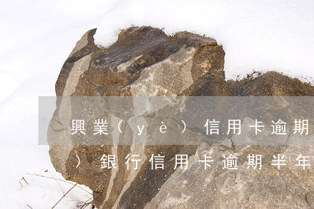 興業(yè)信用卡逾期可信嗎(興業(yè)銀行信用卡逾期半年會不會被起訴)