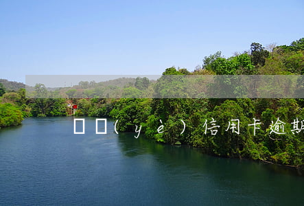 興業(yè)信用卡逾期四個月通知上門-