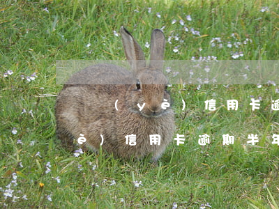 興業(yè)信用卡逾期坐牢案件(興業(yè)信用卡逾期半年被起訴真會(huì)被坐牢嗎?)