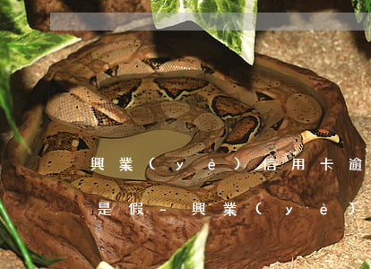 興業(yè)信用卡逾期外訪人員上門是真是假-興業(yè)信用卡逾期外訪人員上門是真是假啊