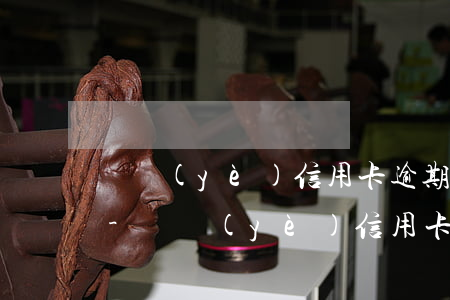 興業(yè)信用卡逾期多久才能入黑名單-興業(yè)信用卡逾期多久才能入黑名單呢