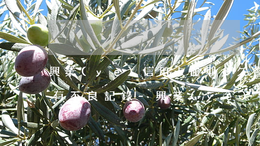 興業(yè)信用卡逾期多久會(huì)有不良記錄-興業(yè)信用卡逾期多久會(huì)有不良記錄呢