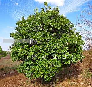 興業(yè)信用卡逾期多久會(huì)被起訴會(huì)有什么后果-2021年興業(yè)銀行信用卡逾期新法規(guī)