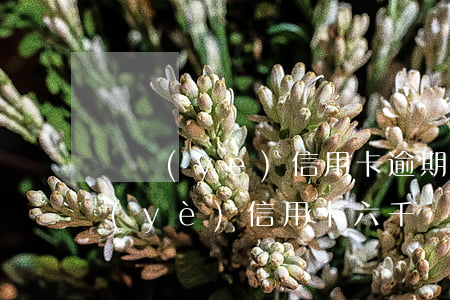興業(yè)信用卡逾期多久會上門(欠興業(yè)信用卡六千塊逾期三個月會上門嗎)