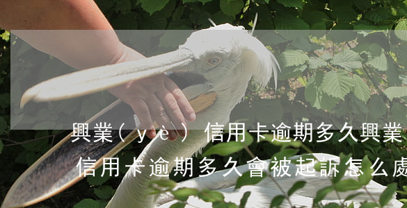 興業(yè)信用卡逾期多久(興業(yè)信用卡逾期多久會被起訴怎么處理)