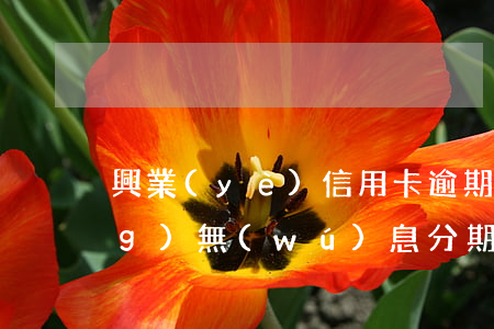 興業(yè)信用卡逾期如何申請(qǐng)無(wú)息分期(興業(yè)信用卡逾期如何申請(qǐng)無(wú)息分期)