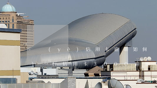 興業(yè)信用卡逾期如何辦 興業(yè)銀行信用卡3000逾期1年
