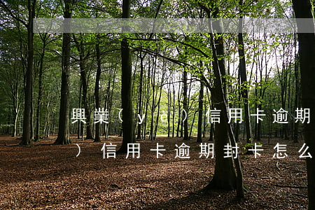 興業(yè)信用卡逾期封卡6 興業(yè)信用卡逾期封卡怎么才能開通
