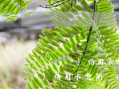 興業(yè)信用卡逾期帳單為0(興業(yè)信用卡逾期為什么零賬單)