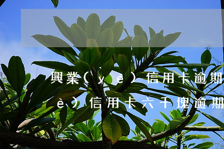 興業(yè)信用卡逾期幾個月(欠興業(yè)信用卡六千塊逾期三個月會上門嗎)