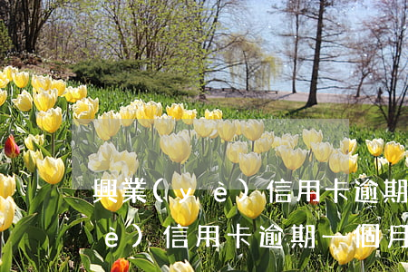 興業(yè)信用卡逾期影響征信(興業(yè)信用卡逾期一個月就會怎么樣)