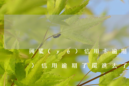興業(yè)信用卡逾期怎么樣(興業(yè)信用逾期了還進去了還可以用嗎?)