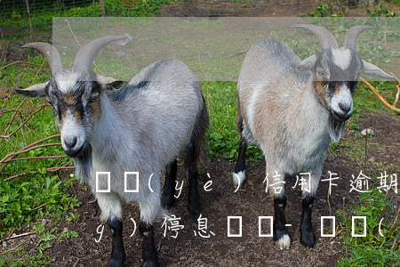 興業(yè)信用卡逾期怎么申請(qǐng)停息掛賬-興業(yè)信用卡逾期怎么申請(qǐng)停息掛賬的