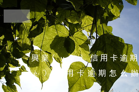 興業(yè)信用卡逾期怎么辦理（興業(yè)信用卡逾期怎么辦）