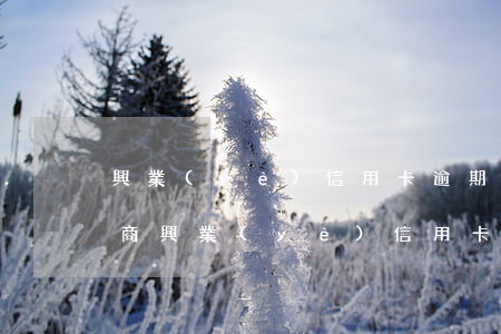 興業(yè)信用卡逾期怎樣協(xié)商(興業(yè)信用卡逾期協(xié)商不成會(huì)承擔(dān)什么后果)
