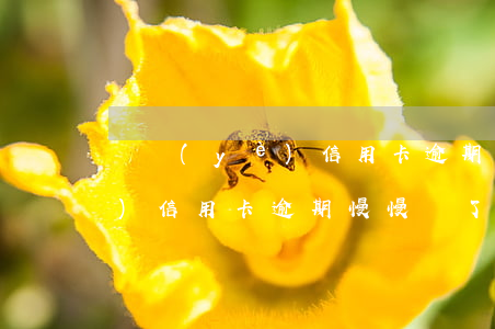 興業(yè)信用卡逾期慢慢還(興業(yè)信用卡逾期慢慢還了)