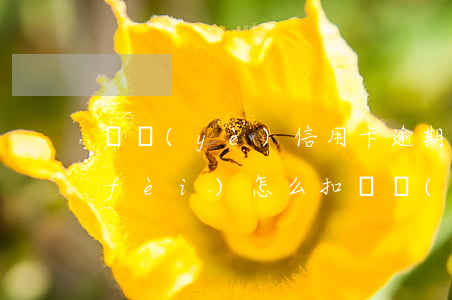 興業(yè)信用卡逾期手續(xù)費(fèi)怎么扣 興業(yè)信用卡逾期手續(xù)費(fèi)怎么扣的