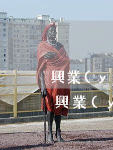 興業(yè)信用卡逾期是手機(jī)打(興業(yè)銀行信用卡逾期暴力催收給哪打電話)