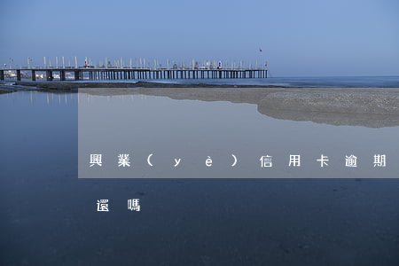 興業(yè)信用卡逾期會(huì)上門還嗎