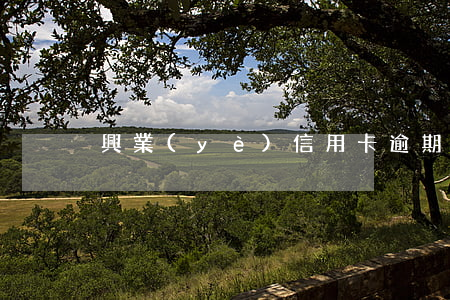 興業(yè)信用卡逾期會報案嗎
