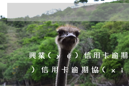 興業(yè)信用卡逾期會影響(興業(yè)信用卡逾期協(xié)商不成會承擔什么后果)
