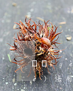 興業(yè)信用卡逾期無法分期(興業(yè)信用卡逾期了協(xié)商分期失效怎么投訴)