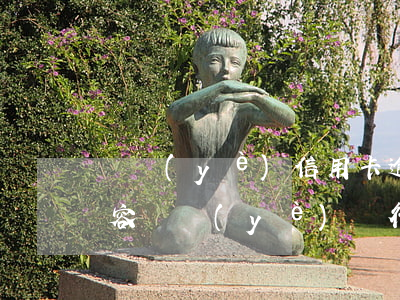 興業(yè)信用卡逾期短信內(nèi)容 興業(yè)銀行逾期兩個(gè)月發(fā)短信前往住所了解情況