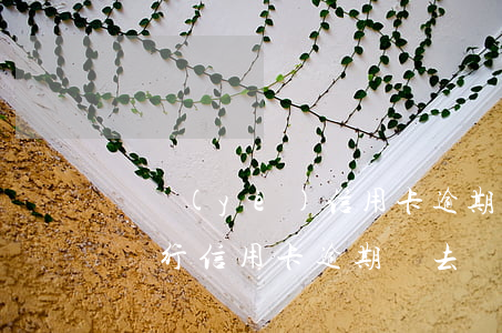 興業(yè)信用卡逾期程序(興業(yè)銀行信用卡逾期讓去簽違約合同怎么辦)
