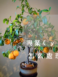 興業(yè)信用卡逾期第三方催收要上門怎么處理-興業(yè)銀行第三方催收說要上門,一般要注意什么