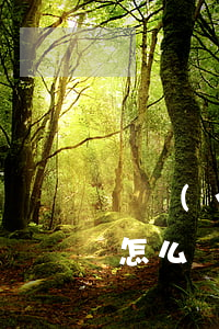 興業(yè)信用卡逾期第三方催收要上門怎么處理 欠興業(yè)銀行信用卡3月,說要上門是真的嗎