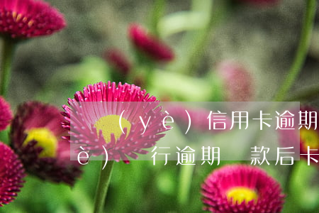 興業(yè)信用卡逾期處理方法(興業(yè)銀行逾期還款后,卡片不讓用了,怎么辦)