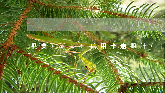 興業(yè)信用卡逾期計(jì)算方式