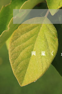 興業(yè)信用卡逾期說要報警