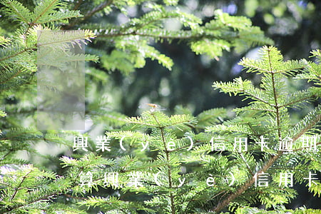 興業(yè)信用卡逾期費(fèi)怎么算(興業(yè)信用卡違約金多少)