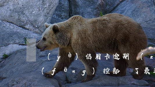 興業(yè)信用卡逾期轉(zhuǎn)風(fēng)控部門了(最近興業(yè)銀行是不是風(fēng)控了)
