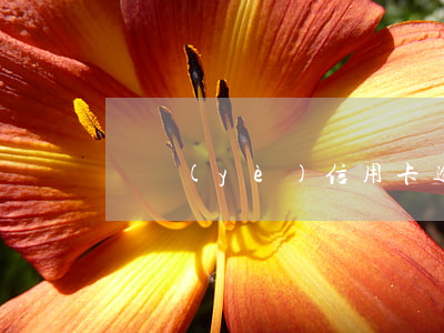 興業(yè)信用卡逾期還清之后能用嗎