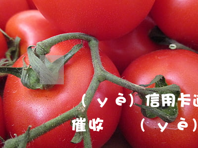 興業(yè)信用卡逾期鄭州號(hào)碼催收(興業(yè)信用卡021催款)