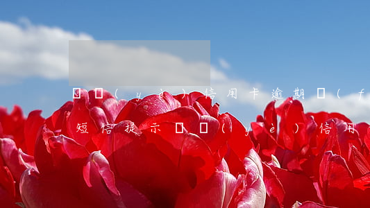 興業(yè)信用卡逾期風(fēng)險短信提示（興業(yè)信用卡逾期風(fēng)險短信）