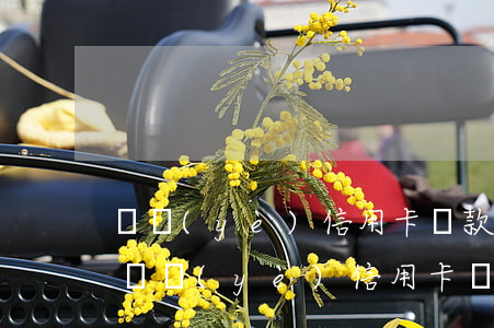 興業(yè)信用卡還款超過幾天算逾期-興業(yè)信用卡還款超過幾天算逾期嗎