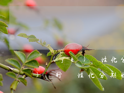 興業(yè)個性化分期條件-興業(yè)銀行個性化分期收手續(xù)費正常嗎?