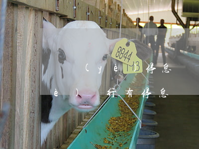 興業(yè)停息掛賬一般多少期(興業(yè)銀行有停息掛賬業(yè)務(wù)嗎)