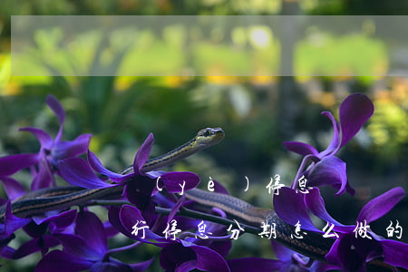 興業(yè)停息掛賬違法嗎(興業(yè)銀行停息分期怎么做的)