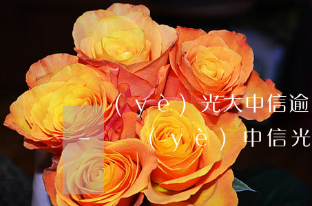 興業(yè)光大中信逾期哪個先處理上海-興業(yè)中信光大哪家強(qiáng)