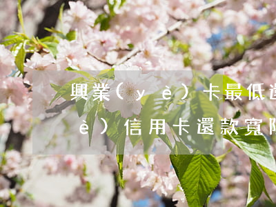 興業(yè)卡最低還款算逾期嗎(興業(yè)信用卡還款寬限期幾天)