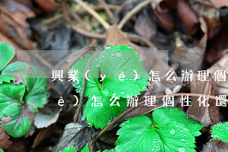 興業(yè)怎么辦理個性化還款(興業(yè)怎么辦理個性化還款)