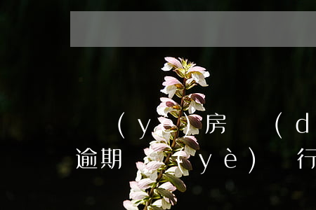 興業(yè)房貸當(dāng)天還不算逾期(興業(yè)銀行房貸逾期三個(gè)月了被起訴了怎么辦)