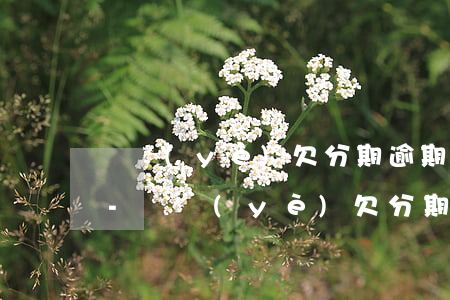 興業(yè)欠分期逾期起訴會是什么結果-興業(yè)欠分期逾期起訴會是什么結果呢