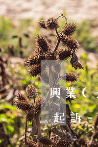 興業(yè)消費(fèi)貸逾期被通知起訴-興業(yè)消費(fèi)貸款投訴